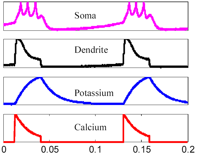 Dendrite Chip Neuron Traces